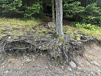 FjellEggen_20241013_670be1abce6c7.jpeg