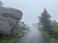FjellEggen_20241013_670be1aea15f5.jpeg