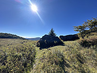 FjellEggen_20241020_671506ee0a561.jpeg