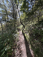FjellEggen_20241020_671506f6d2851.jpeg