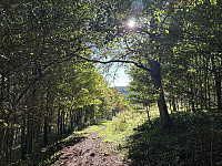 FjellEggen_20241020_671506fb1fe26.jpeg