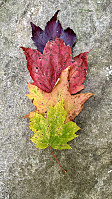 FjellEggen_20241020_67151bbad1457.jpeg