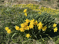 FjellEggen_20250607_68444e78bfde6.jpeg