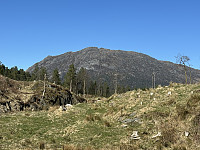 FjellEggen_20250607_684497fff19ee.jpeg