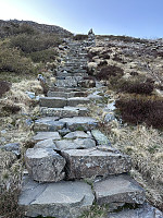 FjellEggen_20250607_6844985226430.jpeg