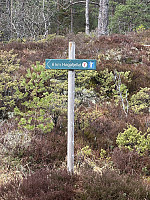 FjellEggen_20250624_685a4d895c002.jpeg