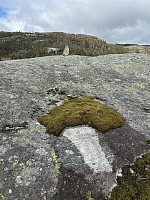 FjellEggen_20250624_685a4d94866e4.jpeg