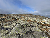 FjellEggen_20250624_685a4da285858.jpeg