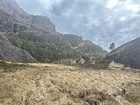 FjellEggen_20250624_685abade2c6f0.jpeg