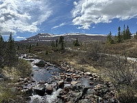 FjellEggen_20250624_685ada3402400.jpeg