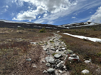 FjellEggen_20250624_685ada3e8e80f.jpeg
