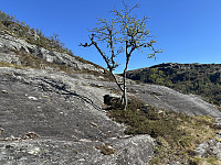 FjellEggen_20250720_687d22a622323.jpeg