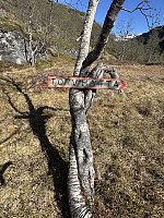 FjellEggen_20250720_687d22ae1f733.jpeg