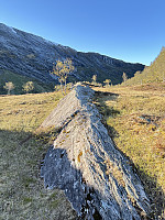 FjellEggen_20250720_687d22c91a22f.jpeg