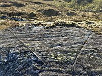 FjellEggen_20250720_687d22cd4a3ca.jpeg