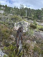 FjellEggen_20250809_689794d829e73.jpeg