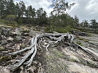 FjellEggen_20250809_689794df94d0b.jpeg