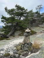 FjellEggen_20250809_689794e3112a7.jpeg