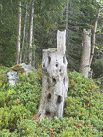 FjellEggen_20250811_689a2ea8f1f46.jpeg