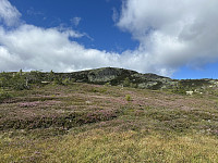 FjellEggen_20250811_689a3125eeb28.jpeg