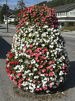 FjellEggen_20250812_689ae563beb74.jpeg