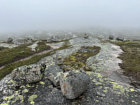 FjellEggen_20250812_689ae56f161d7.jpeg