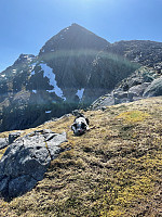 risvollhilde_20230611_648632a882cd4.jpg