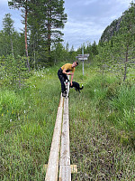risvollhilde_20230717_64b5157b5586d.jpg