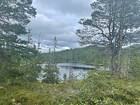 risvollhilde_20230717_64b5802dd428c.jpg