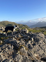 risvollhilde_20240625_667aa093de49a.jpeg