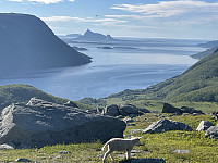 risvollhilde_20240630_66813877cd50a.jpeg