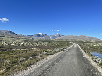 risvollhilde_20240630_66813a3c45640.jpeg