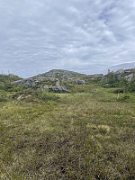 risvollhilde_20240630_6681b0a01dfa8.jpeg
