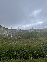 risvollhilde_20240713_669228da540f0.jpeg