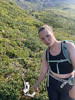 risvollhilde_20240804_66af8d0cb8991.jpeg
