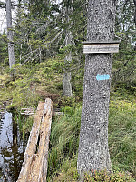 risvollhilde_20240928_66f8454b934a9.jpeg