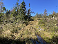 risvollhilde_20240928_66f84e6401372.jpeg