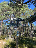 risvollhilde_20240928_66f850354e363.jpeg