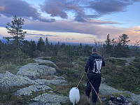 risvollhilde_20240928_66f855b952198.jpeg