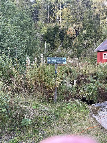 Gammel husmannsplass
