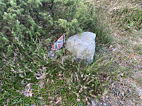 risvollhilde_20240928_66f85b95ec730.jpeg