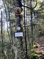 risvollhilde_20240929_66f979eacc372.jpeg