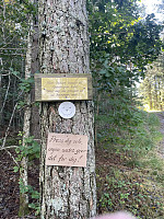 risvollhilde_20240929_66f979ec78e2d.jpeg