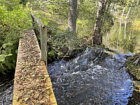risvollhilde_20240929_66f97c01b8371.jpeg