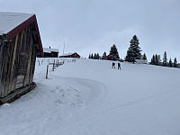 risvollhilde_20250302_67c43feb49e56.jpeg