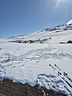 risvollhilde_20250428_680fef269ecad.jpg
