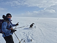 risvollhilde_20250430_68125c3b649b7.jpg