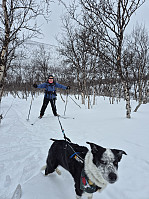 risvollhilde_20250430_68125c3cb09d6.jpg