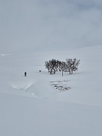 risvollhilde_20250505_68190fbe931b1.jpg