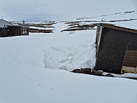 risvollhilde_20250508_681cd8c02cdae.jpg